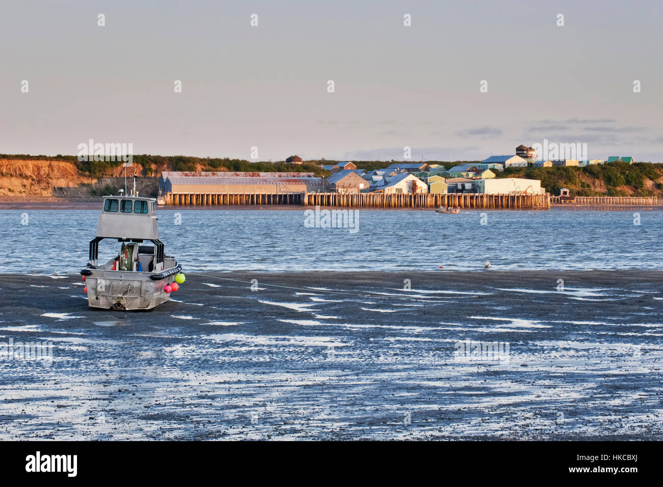 Ein ruht auf den Wattflächen des Flusses Naknek während