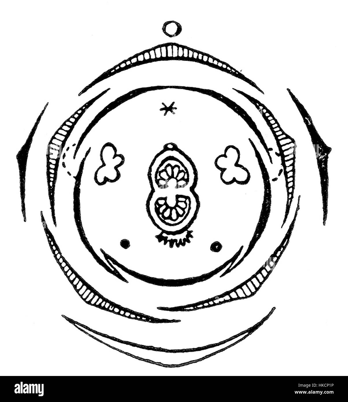 Ein delikates Gemälde einer Veronica-Blume, das ihre komplizierten Blütenblätter und ihre natürliche Schönheit veranschaulicht. Dieses florale Diagramm zeigt die Aufmerksamkeit des Künstlers auf botanische Details und bietet eine visuelle Erforschung des Pflanzenlebens und der Naturkunst. Stockfoto