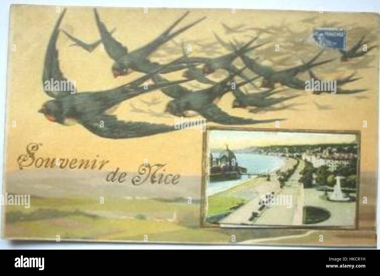 „Souvenir de Nice Hirondelles“ zeigt eine ruhige Szene aus Nizza, Frankreich, mit Schwerpunkt auf Schwalben (hirondelles) im Flug. Das Kunstwerk fängt das Wesen der natürlichen Schönheit der Region ein und integriert die lokale Tierwelt mit der malerischen Landschaft der französischen Riviera. Stockfoto