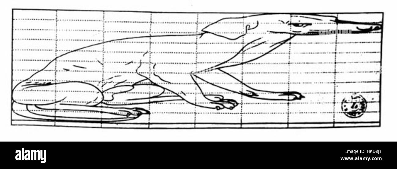 Dieses Kunstwerk mit dem Titel Perro1 zeigt einen Hund in einer auffälligen Pose, der Elemente des Realismus und der expressiven Kunst verbindet. Das Stück zeigt die Fähigkeit des Künstlers, die Persönlichkeit und Stimmung des Tieres einzufangen. Stockfoto