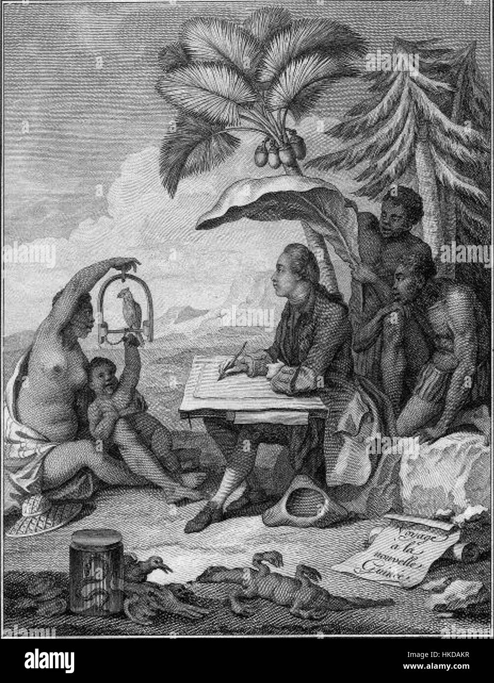 „Sonnerat“ bezieht sich auf die Werke von Pierre Sonnerat, einem französischen Naturforscher und Entdecker, der für seine detaillierten Illustrationen von Flora und Fauna von seinen Reisen in Asien bekannt ist. Stockfoto