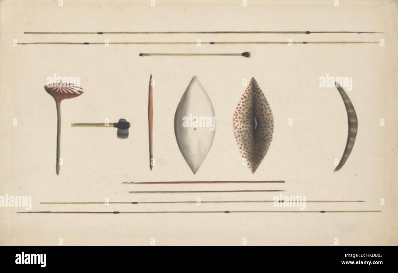 Diese Sammlung zeigt verschiedene Jagdgeräte und Waffen der Aborigines, die die Werkzeuge widerspiegeln, die von indigenen australischen Gemeinden für die Jagd, Fischerei und das tägliche Überleben verwendet werden. Diese Objekte sind sowohl für ihre Funktionalität als auch für ihr kulturelles Erbe von Bedeutung und repräsentieren die Fähigkeiten und den Einfallsreichtum der Aborigines. Stockfoto