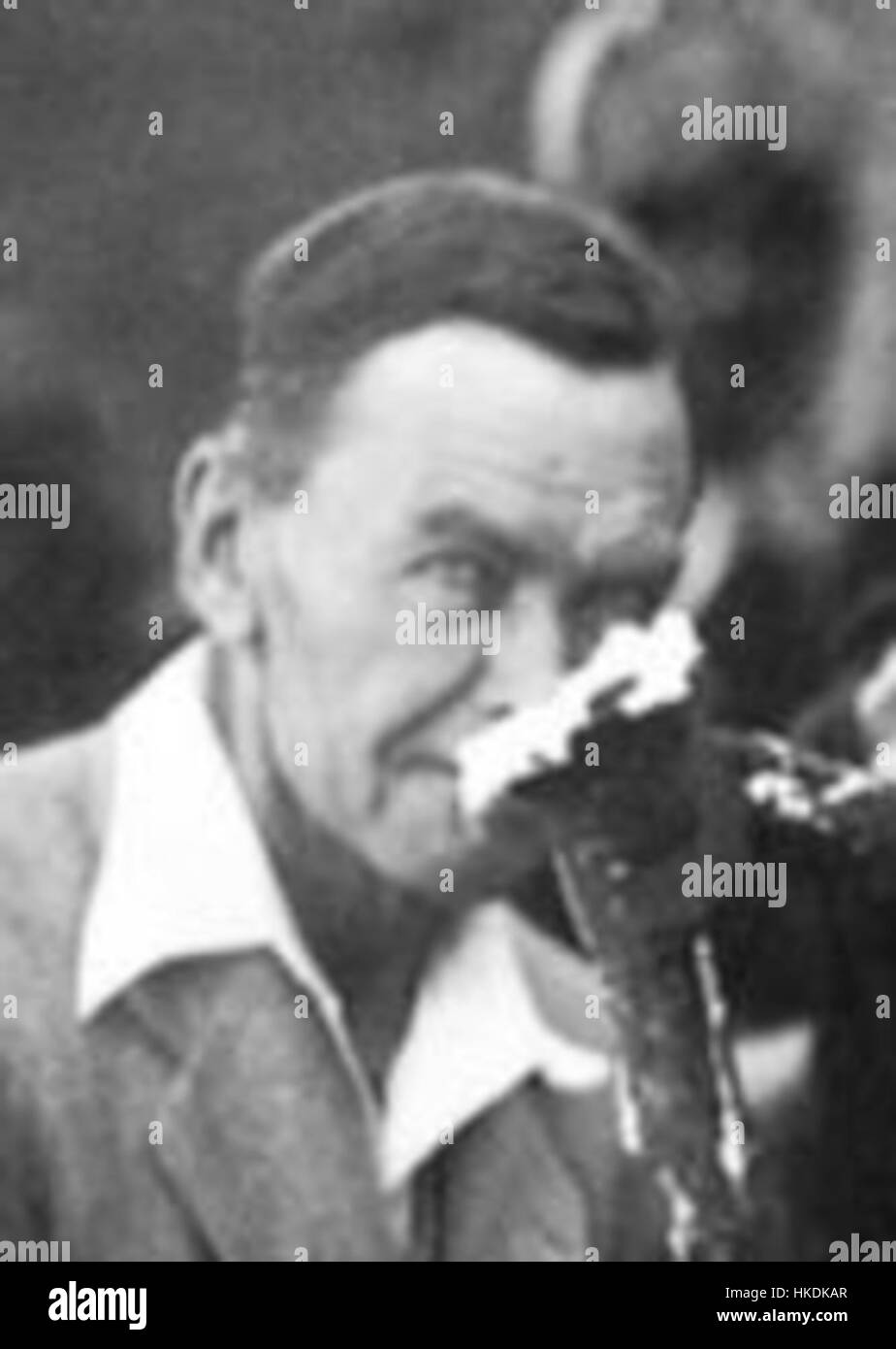 Woolley, halten die gehärteten Gipsform von einer Leier (beschnitten) Stockfoto