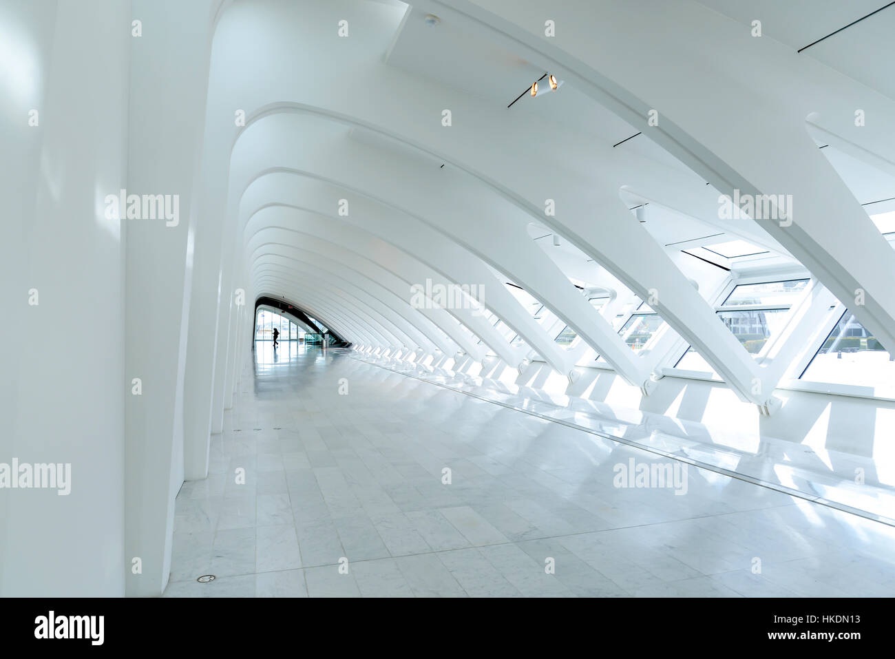 Milwaukee Art Museum von Santiago Calatrava entworfen. Stockfoto