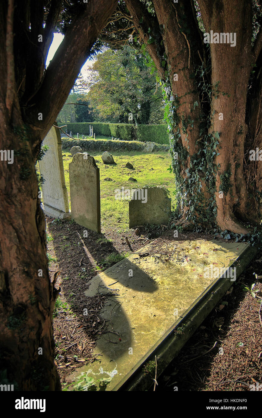 Alte Gräber und Grabsteine auf einem Friedhof in Irland Stockfoto