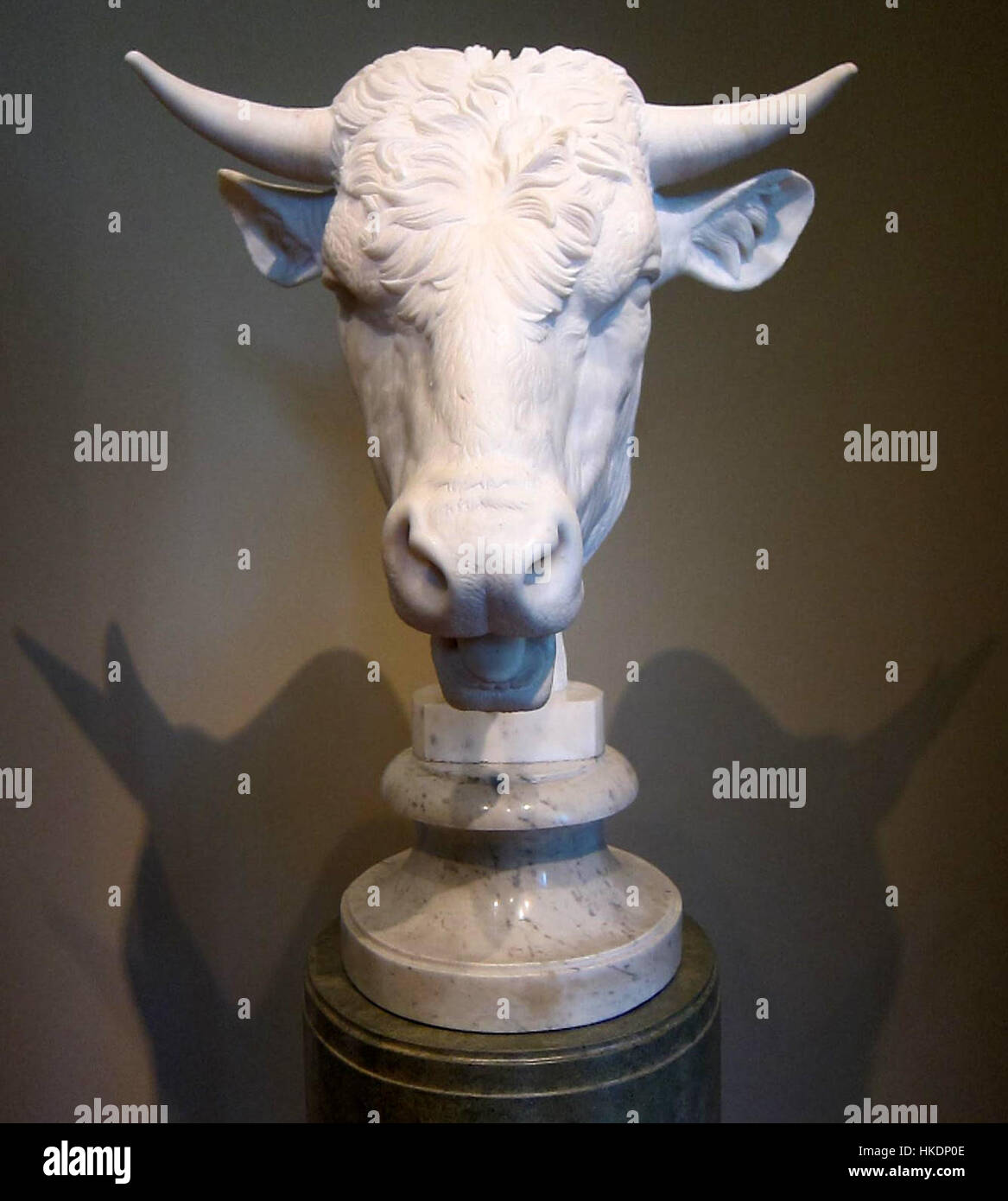 Diese klassische Skulptur zeigt einen detaillierten und realistischen Kopf eines Stiers, der die muskulöse Struktur und Gesichtszüge des Tieres betont. Das Werk zeigt Meisterschaft in der Erfassung naturalistischer Details in Skulpturen. Stockfoto
