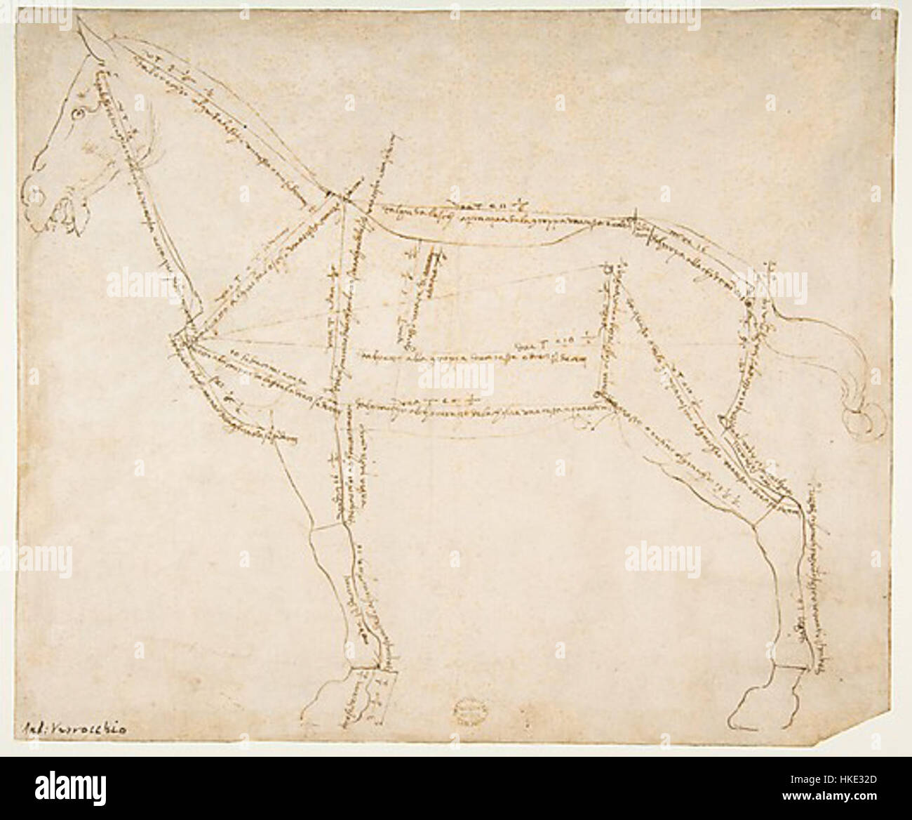 Zeichnung des Pferdes 2 Stockfoto