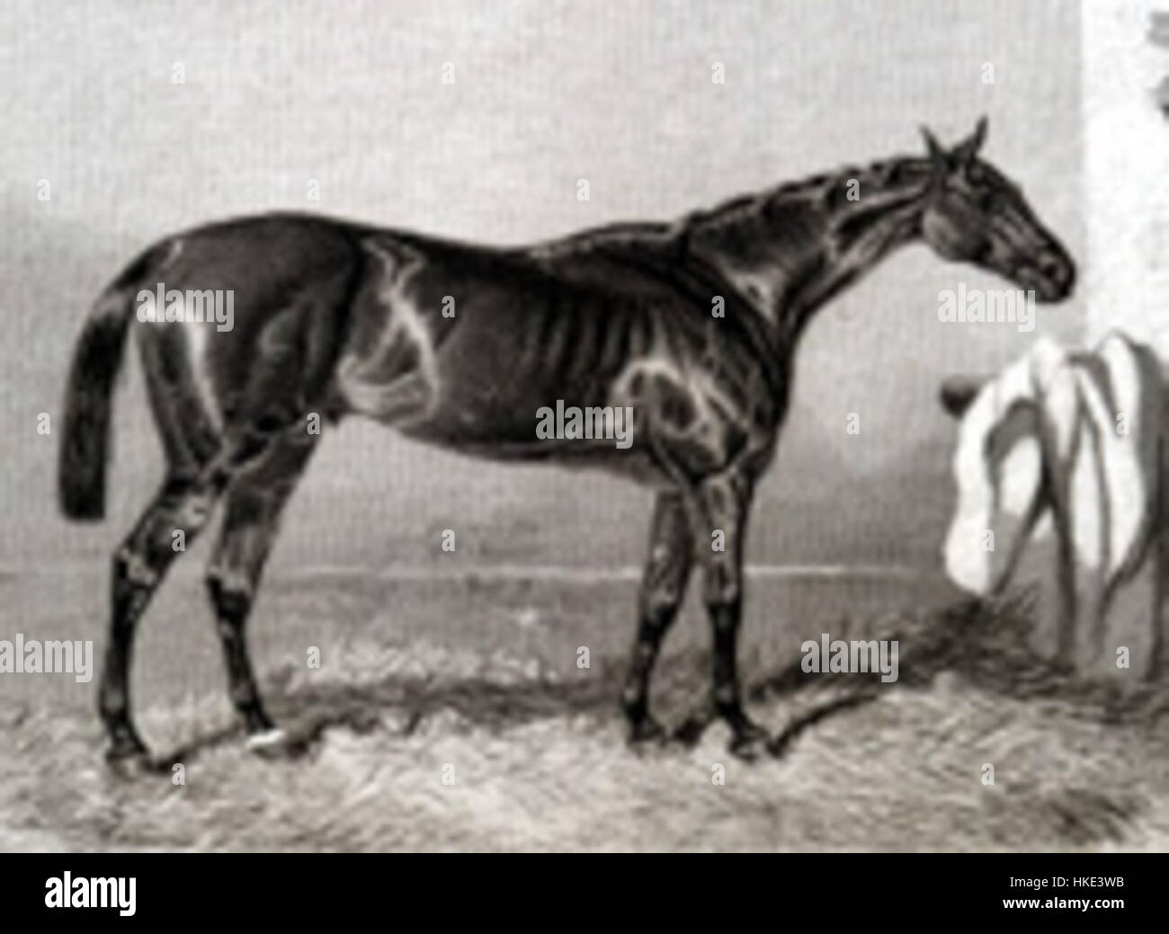 Ein lebendiges Kunstwerk zum 200. Geburtstag von Duke Ellington. Dieses Gemälde spiegelt Ellingtons immensen Beitrag zur Jazz- und Musikgeschichte wider und fängt das Wesen seines Stils und Vermächtnisses ein. Stockfoto