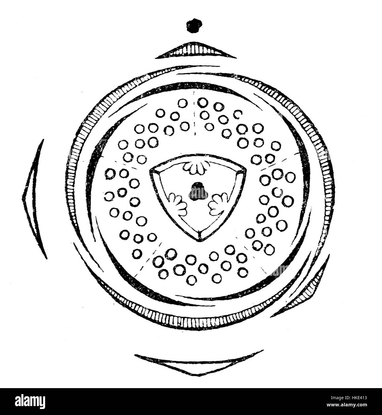Diese botanische Illustration von *Helianthemum vulgare*, allgemein bekannt als Felsenrose, zeigt die detaillierte Anatomie der Pflanze. Das Diagramm hebt die Struktur der Blume hervor, perfekt für wissenschaftliche Studien und künstlerische Bewunderung. Stockfoto