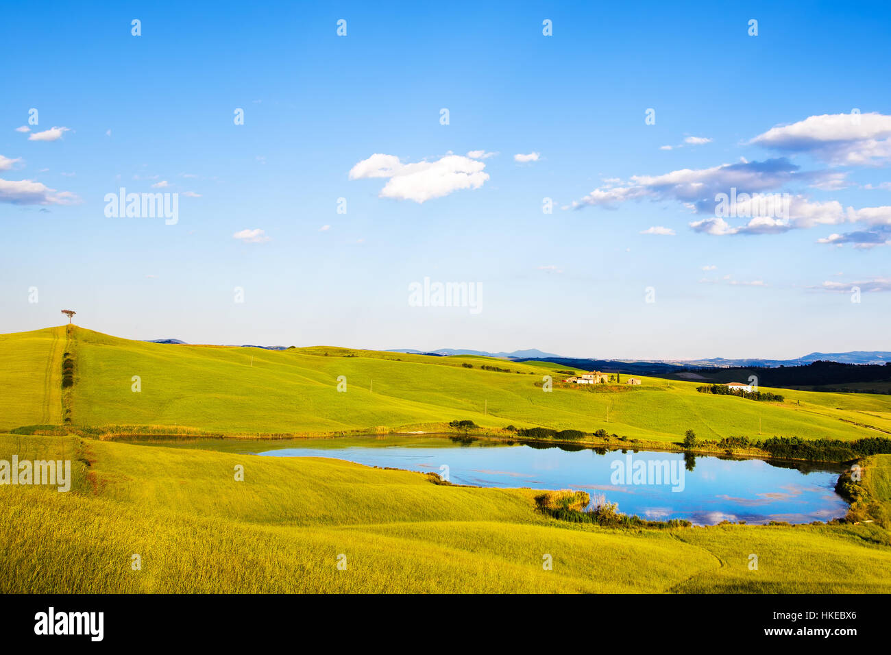 Toskana, Crete Senesi Landschaft in der Nähe von Siena, Italien, Europa. Kleiner See, Baum auf Hügel und grüne Felder, blauer Himmel mit Wolken. Stockfoto