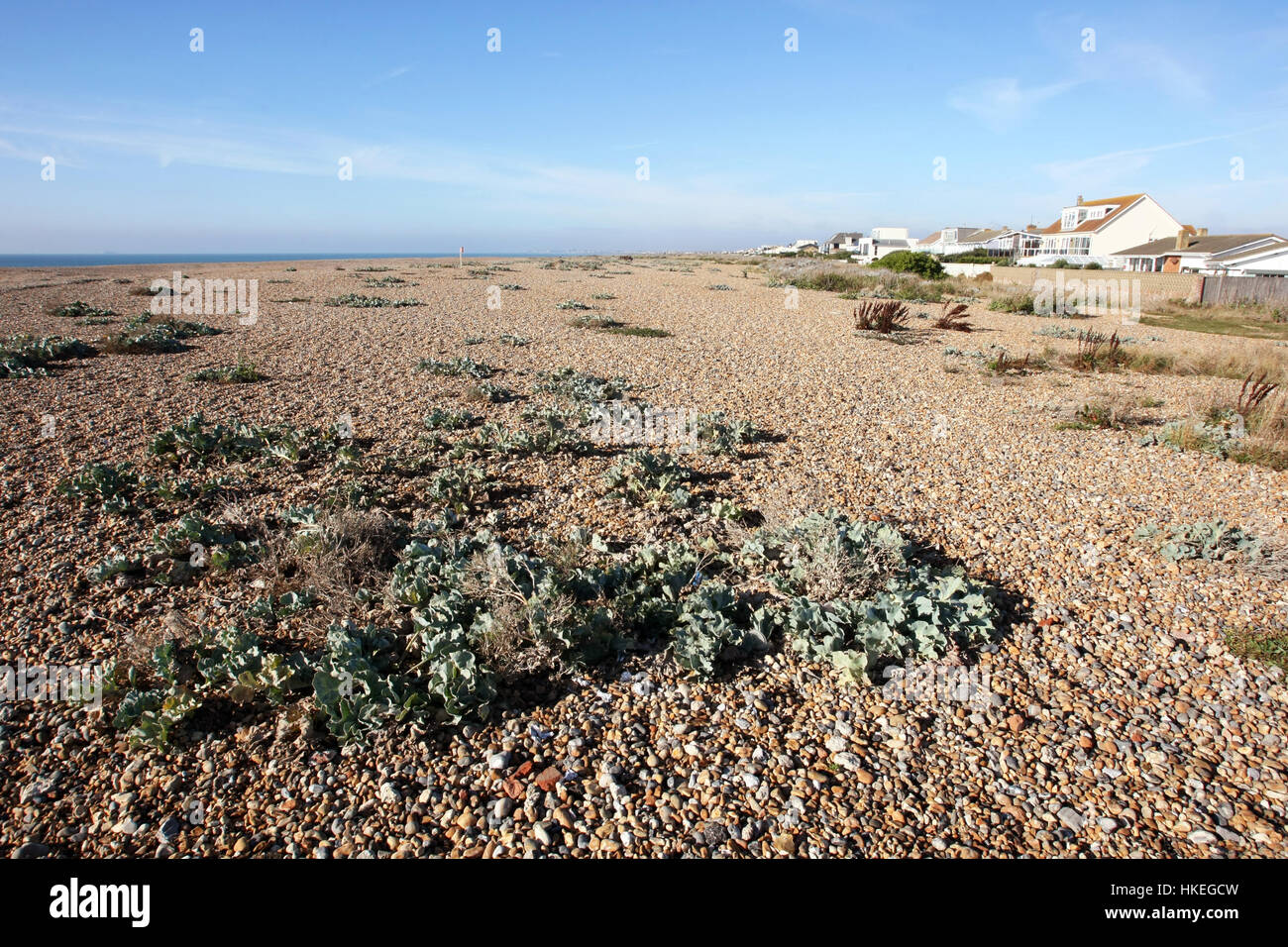 Strand, Shoreham-durch Meer, West Sussex, England. Stockfoto