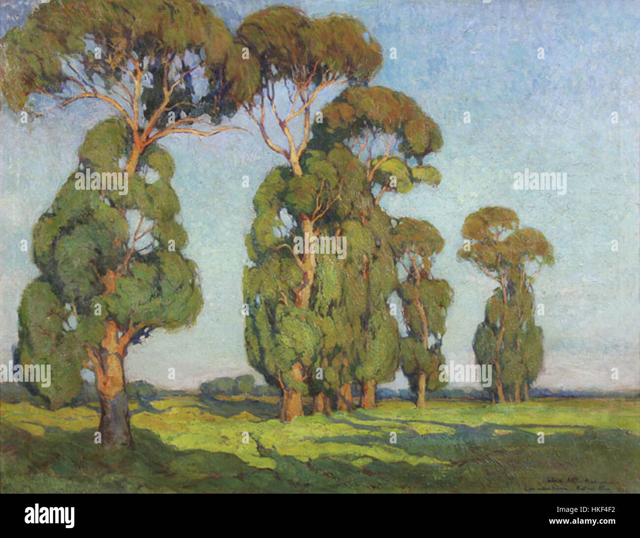 Eucaliptos Malinverno ist ein Gemälde, das den Eukalyptusbaum darstellt und Stärke und Widerstandsfähigkeit symbolisiert. Der Künstler fängt die Pracht dieses ikonischen Baumes in realistischem Stil ein, indem er Ölmaltechniken verwendet, um seine natürliche Schönheit zu betonen. Stockfoto