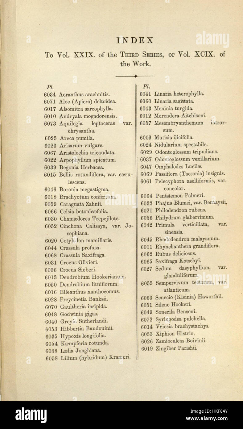 „Curtis“ 99 ist eine illustrierte botanische Publikation aus dem Jahr 1873, die Teil einer Reihe von Pflanzenarten mit detaillierten Gravuren und Beschreibungen ist. Sie ist ein wertvoller Hinweis für die historische Botanik. Stockfoto