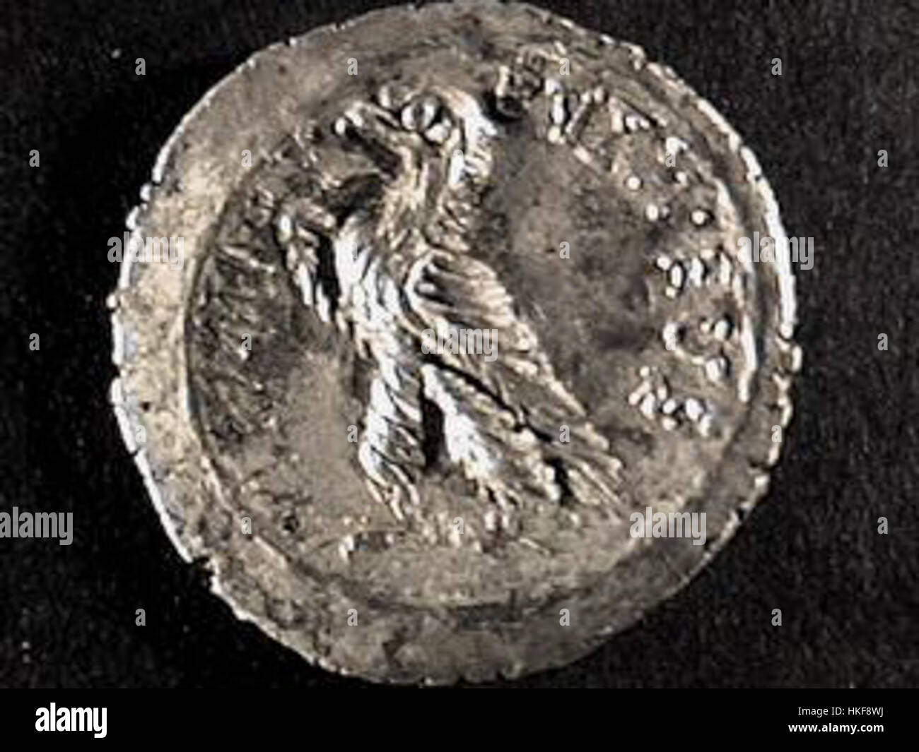 Eine antike Didrachma-Münze mit Ptolemaios VIII., die die historische Währung der hellenistischen Zeit im alten Ägypten darstellt. Stockfoto