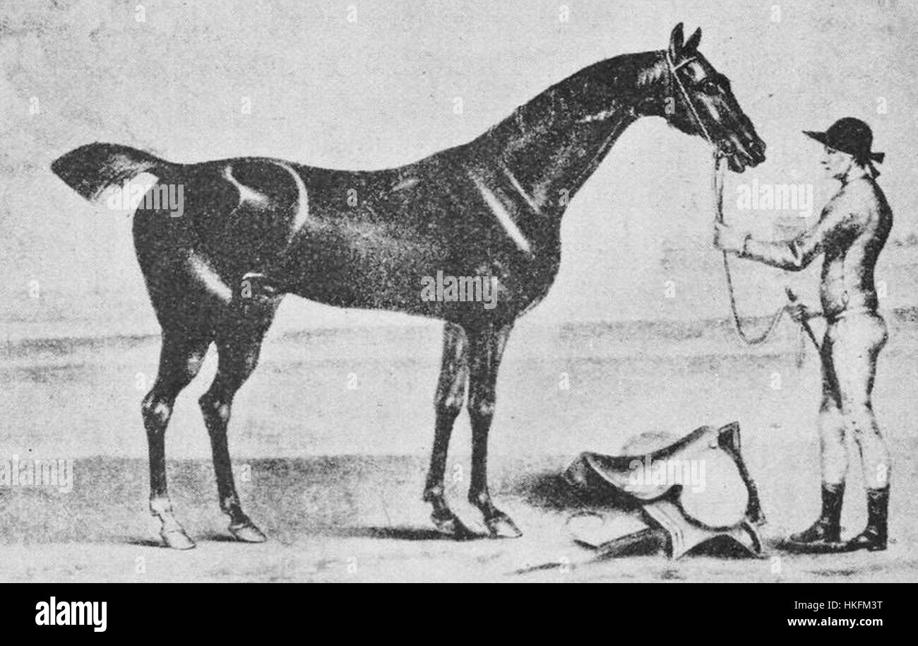 *Bay Bolton* ist ein historisches Kunstwerk, das Boltons künstlerische Interpretation von Landschaft und Natur zeigt. Dieses Gemälde ist bekannt für seine Betonung auf natürliche Schönheit und atmosphärische Effekte und bietet einen Einblick in Boltons kreative Vision. Stockfoto