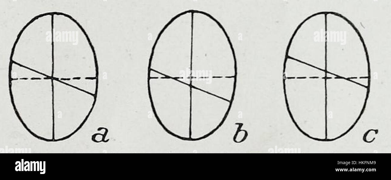 Dieses Werk mit dem Titel „Braus 1921 394“ ist Teil einer Sammlung von Kunstwerken des 20. Jahrhunderts. Das Stück spiegelt die modernistischen künstlerischen Bewegungen der frühen 1900er Jahre wider, die durch Abstraktion und geometrische Formen geprägt waren, die in dieser Zeit dominierten. Stockfoto