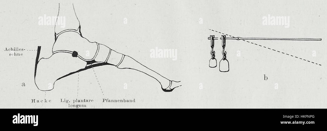 Das Kunstwerk „Braus 1921 301“ repräsentiert ein Kunstwerk des frühen 20. Jahrhunderts, das sich wahrscheinlich auf abstrakte oder figurative Themen konzentriert. Die Zahl „1921“ deutet auf einen spezifischen historischen Kontext hin, während „301“ eine Referenz auf die Katalogisierung oder Klassifizierung des Stücks sein kann. Dieses Werk verkörpert die stilistischen Veränderungen der Zeit und spiegelt Einflüsse der Zeit nach dem Ersten Weltkrieg in der europäischen Kunst wider. Stockfoto