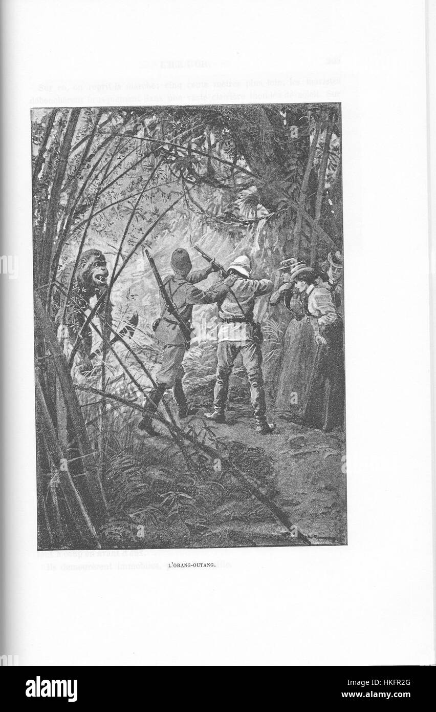 Die Illustration aus „Ivoi Corsaire Triplex Partie2“ Kapitel 5 zeigt eine Szene mit einem Lorangoutang, in dem ein exotisches und auf die Tierwelt fokussiertes Thema aufgenommen wird, wahrscheinlich aus einer Erzählung aus dem 19. Jahrhundert über Entdeckungen oder exotische Tiere. Stockfoto