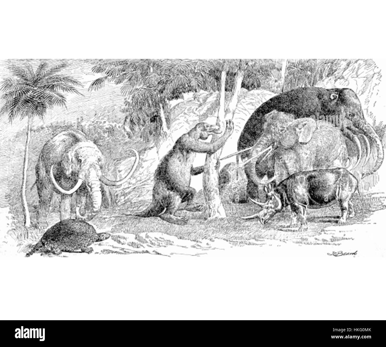 Dieses Stück mit dem Titel „Cenozoic Cosmo“ spiegelt Themen der geologischen känozoischen Ära und der Evolutionsgeschichte wider. Das Gemälde verbindet wissenschaftliche Themen mit künstlerischem Ausdruck und veranschaulicht den Kosmos und die Lebensformen dieser Zeit. Stockfoto