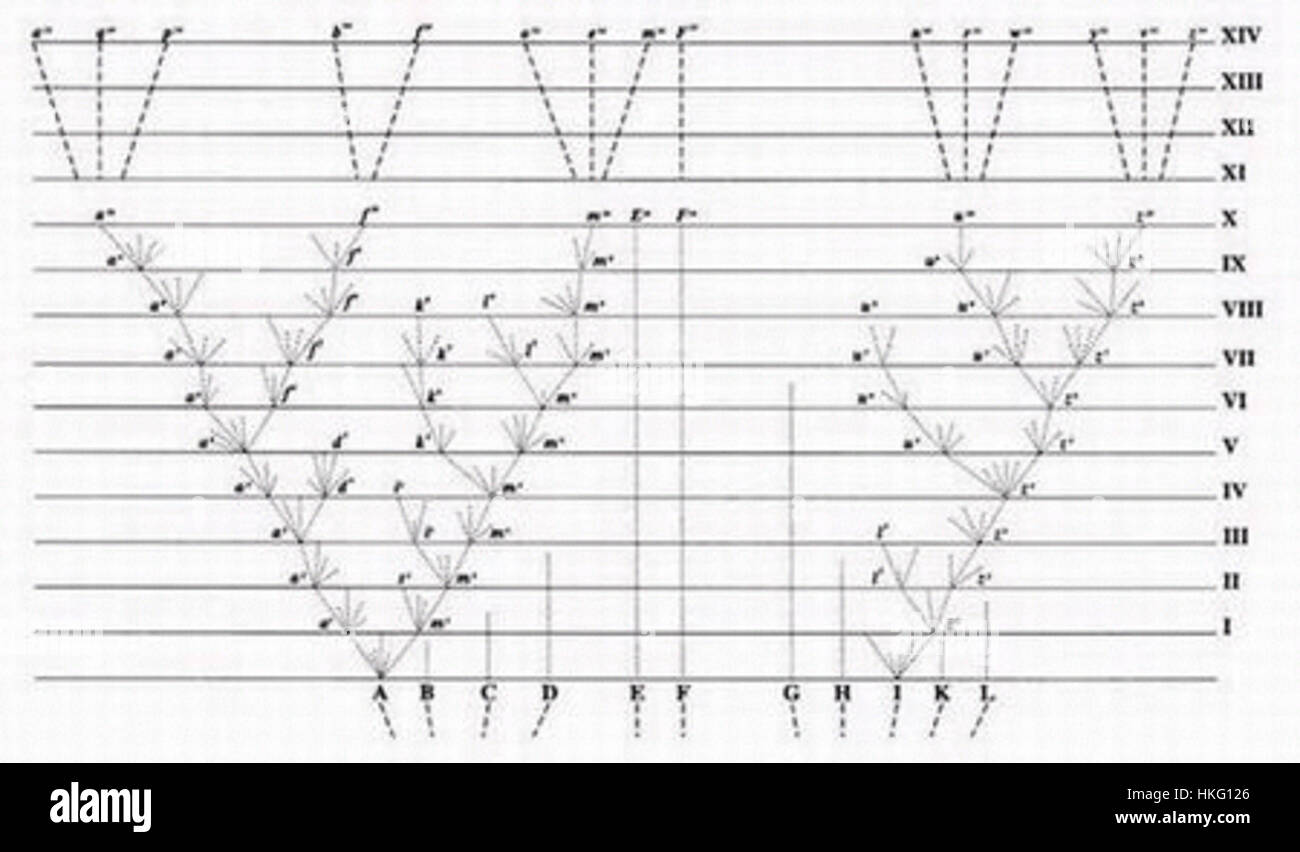 Darwins „Baum des Lebens“, 1859 illustriert, zeigt die evolutionären Verbindungen zwischen lebenden Arten, ein Schlüsselkonzept in seinem bahnbrechenden Werk „On the Origin of Species“. Diese visuelle Darstellung trug dazu bei, die natürliche Selektion und die Evolutionstheorie zu erklären, was einen entscheidenden Moment in der Wissenschaftsgeschichte markiert. Stockfoto
