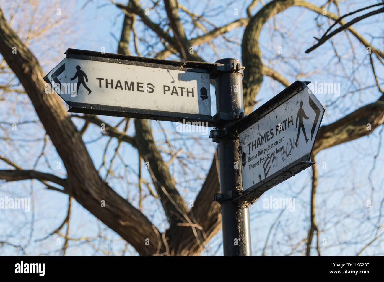 Thames Path anmelden Chiswiick SW London Stockfoto