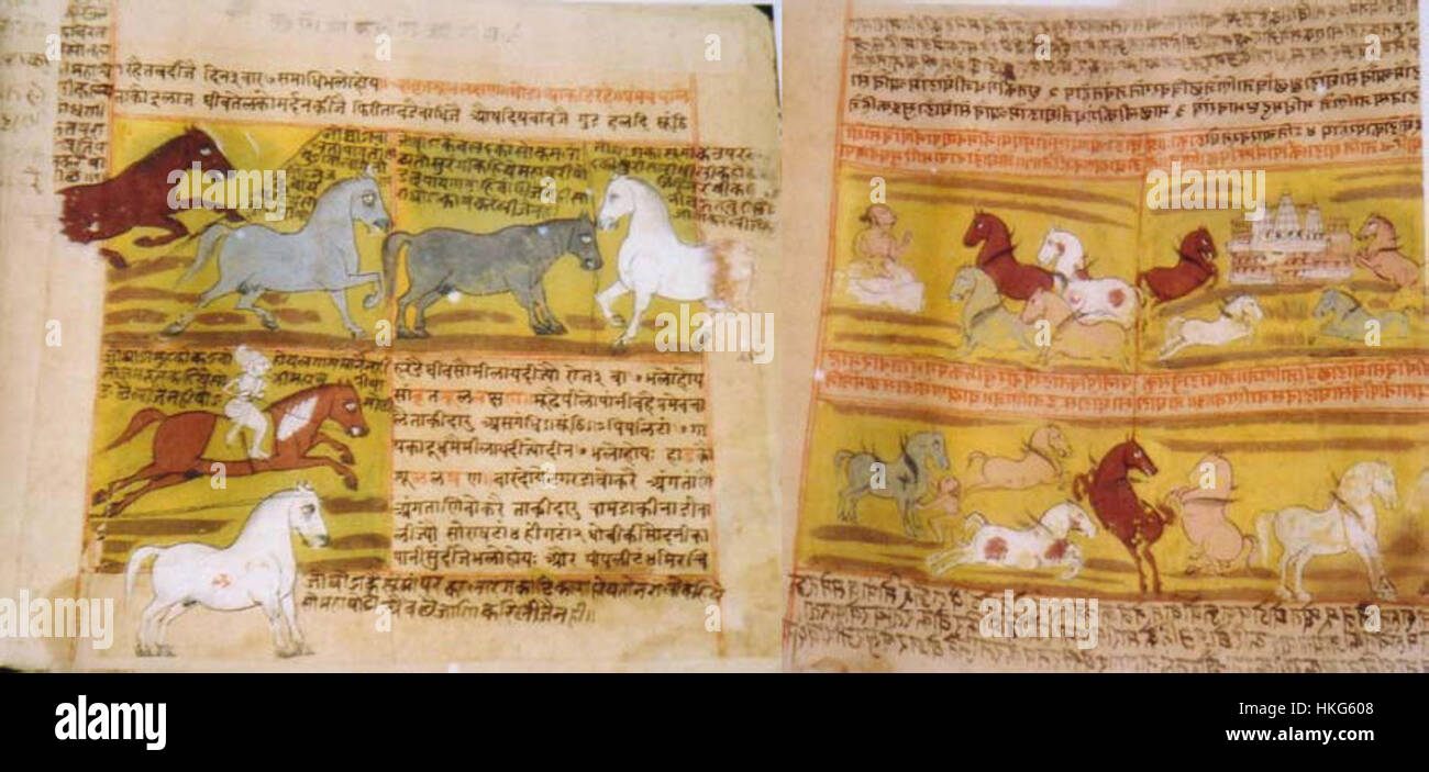 Das „Shalihotra-Manuskript“ ist eine Sammlung antiker Seiten, die die hinduistische Astrologie und das Studium von Tieren beschreiben. Dieses Manuskript aus der frühen Zeit enthält komplizierte Illustrationen und astrologische Diagramme, die die Beziehung zwischen Mensch und Natur betonen. Stockfoto