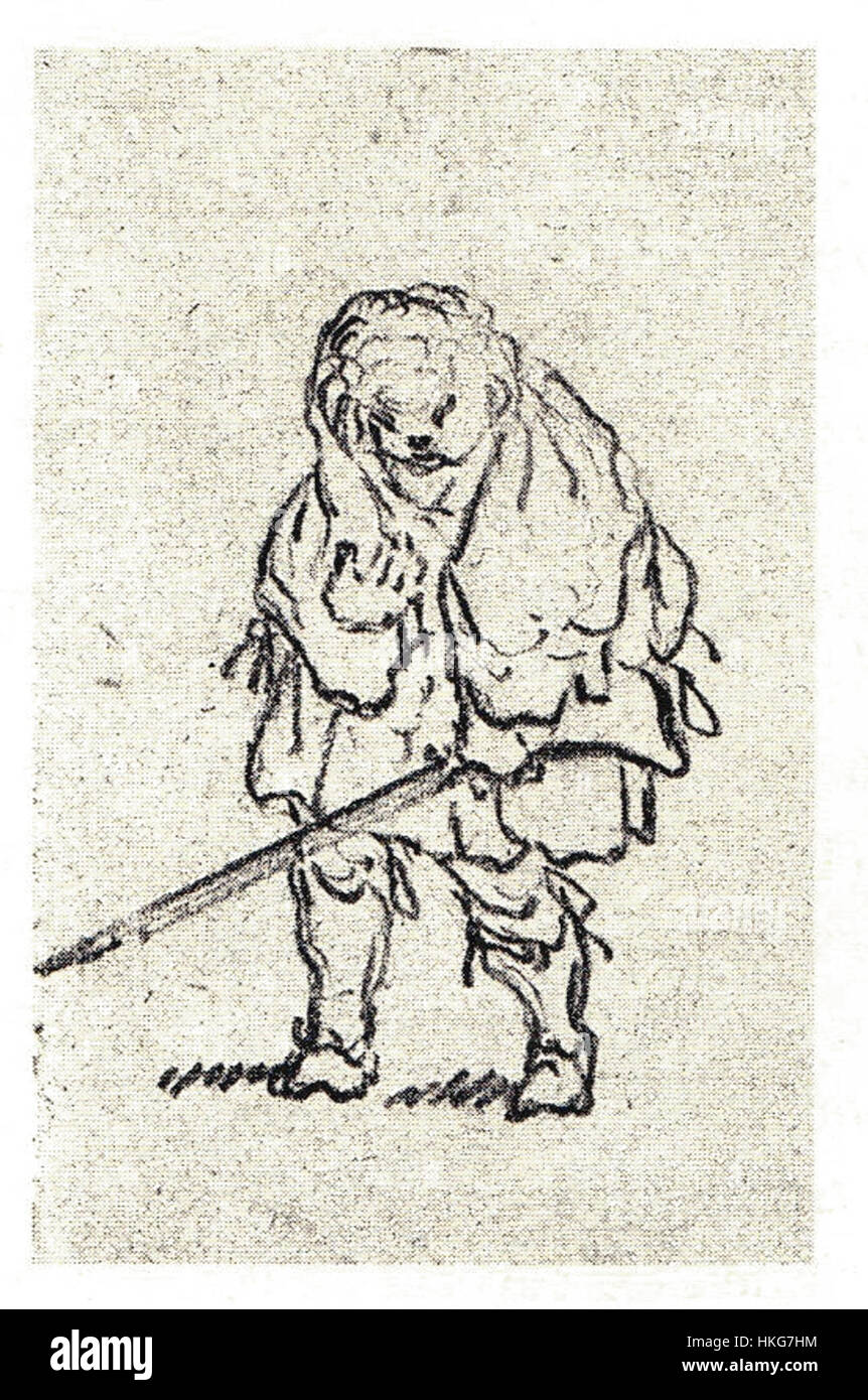 Penicuiks Zeichnung 23 ist Teil einer Reihe botanischer Illustrationen, die die Flora der Region im 18. Jahrhundert dokumentieren. Diese detaillierten Skizzen zeigen die wissenschaftliche Genauigkeit und das künstlerische Können von Penicuiks Arbeit. Stockfoto