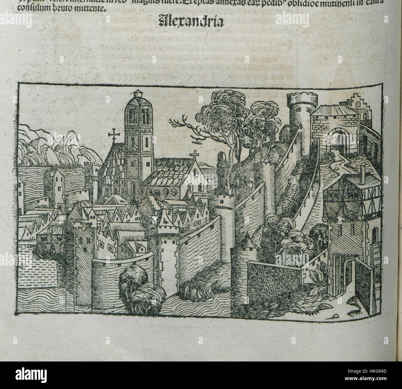 Alexandria Schedell Hartmanns Werk von 1493 ist eine historische Illustration, die medizinische und botanische Kenntnisse der Zeit verbindet. Das Stück stellt eine detaillierte Darstellung der Flora dar und zeigt die komplizierte Verbindung zwischen Wissenschaft und Kunst im späten 15. Jahrhundert. Stockfoto