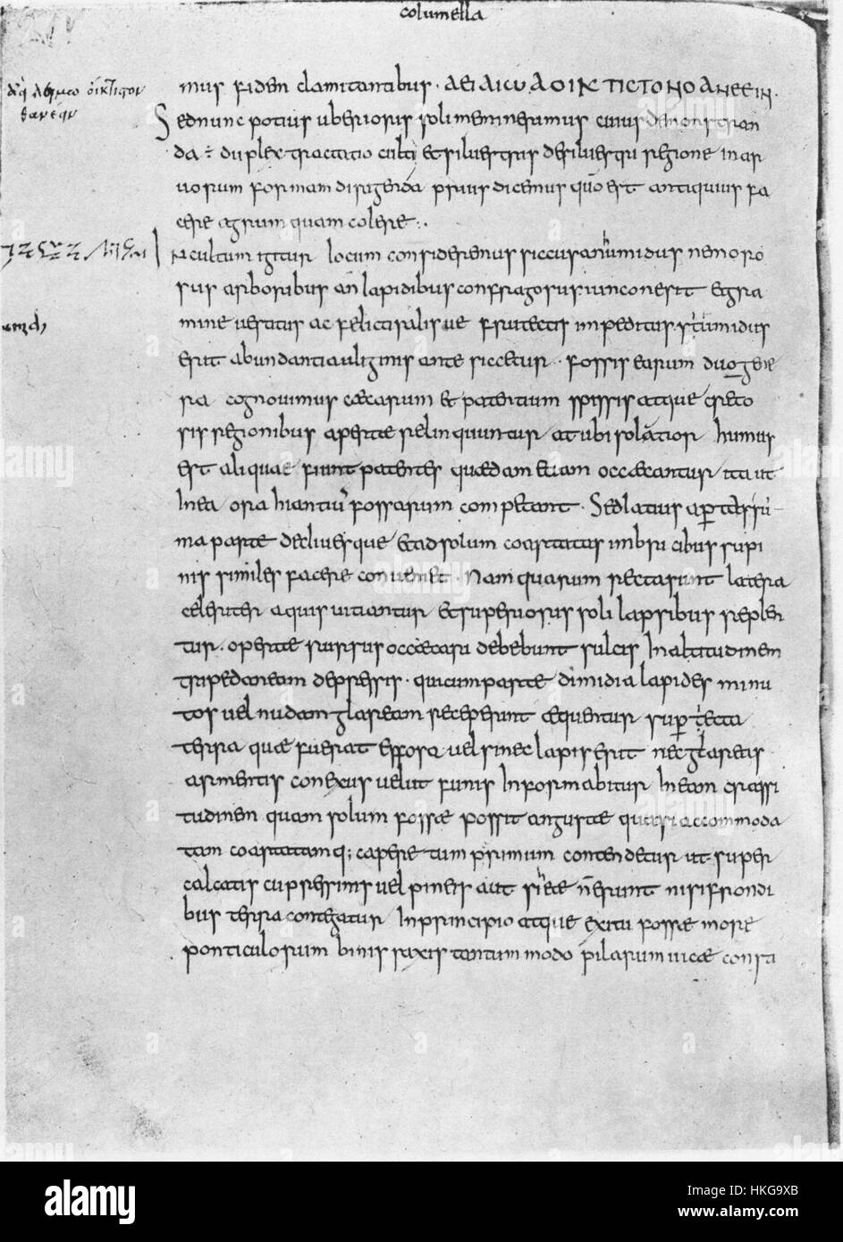 Eine Illustration aus Columellas *de Re rustica*, einem antiken römischen Werk über Landwirtschaft, das landwirtschaftliche Techniken und das ländliche Leben im antiken Rom zeigt. Das Bild zeigt traditionelle landwirtschaftliche Praktiken im klassischen Stil. Stockfoto