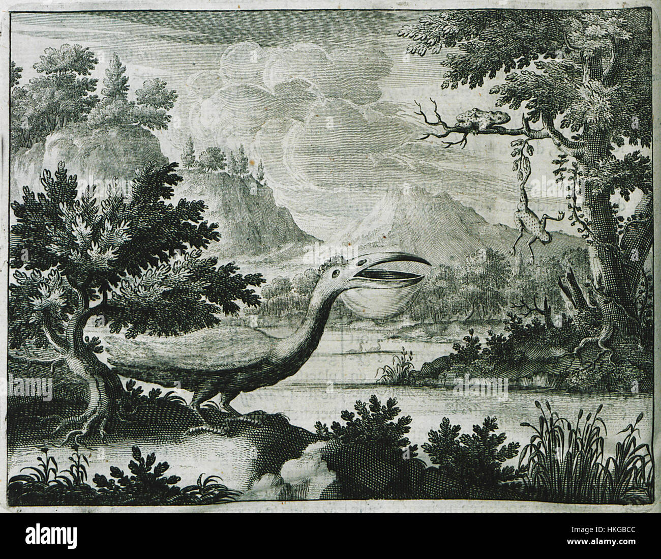 Großer weißer Pelikan (Pelecanus Onocrotalus) und Frösche in Eurotas Fluß Dapper Olfert 1688 Stockfoto