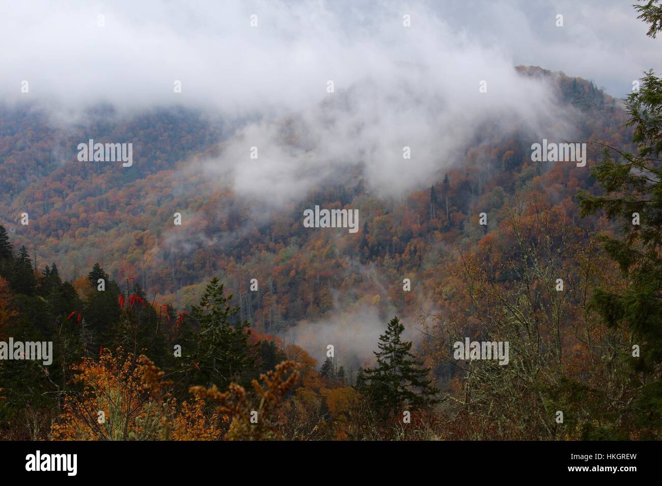 Der Nebel in den Bergen in die Herbstsaison. Stockfoto
