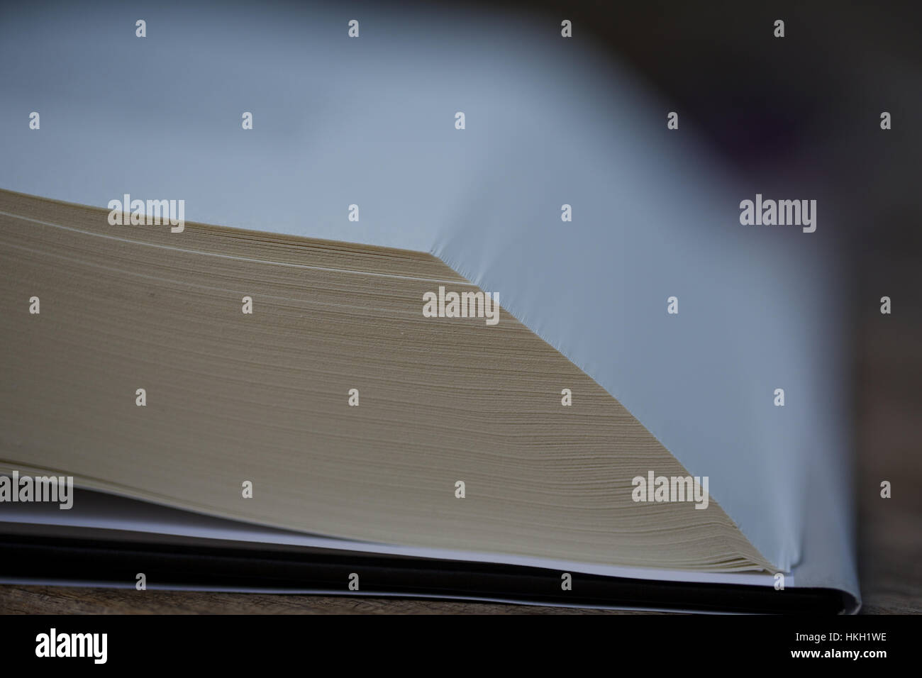 Öffnen Sie Adressbuch. Seite, Lehrbuch, Forschung, Bildung. Stockfoto