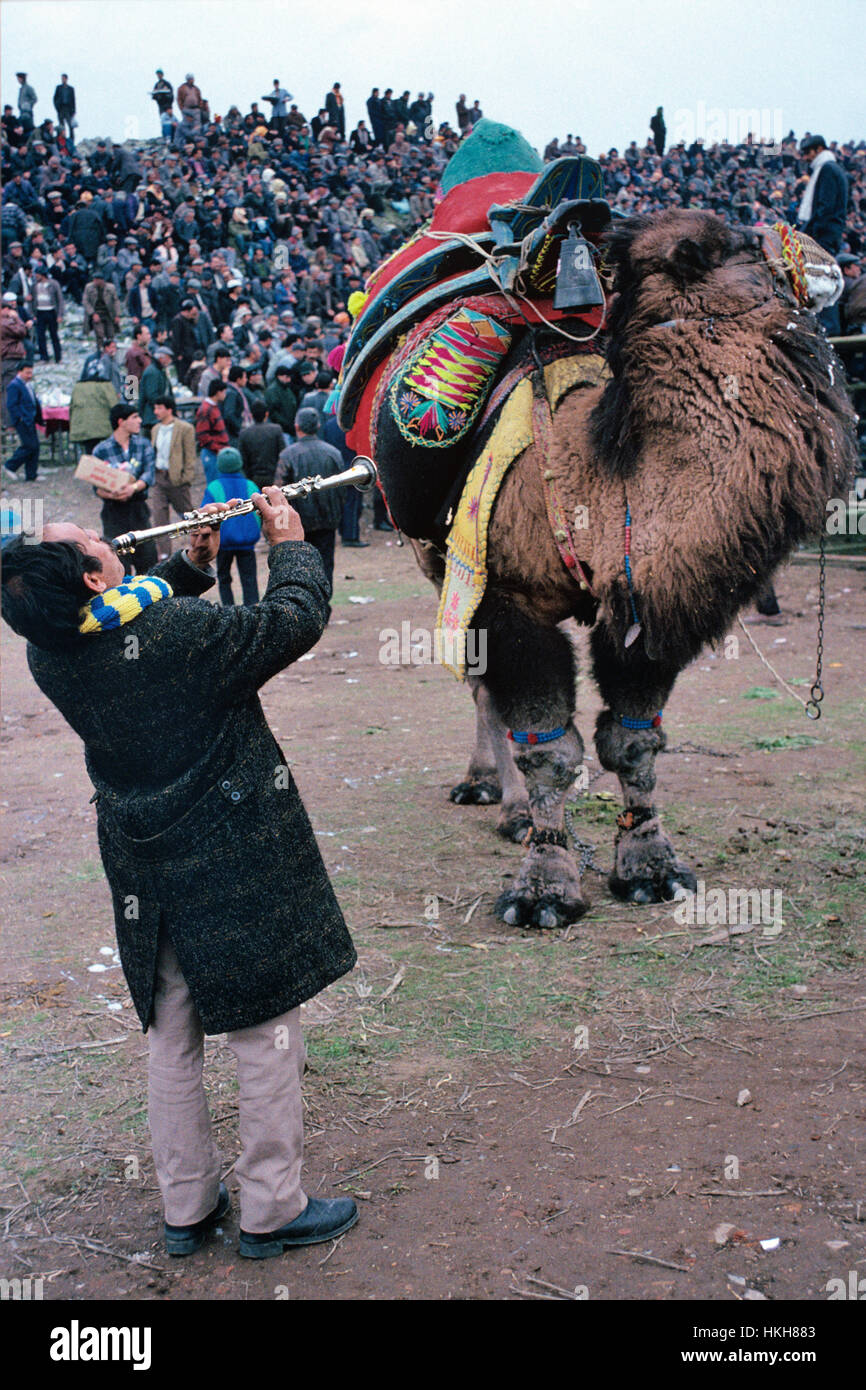 Türkische Musiker spielen Wind Instrument, eine Art Flöte, Zurna oder Ney, gekleidet in ein Kamel oder Wresting Kamel an der jährlichen Kamel Wrestling Festival in der antiken Amphitheater in Ephesus, Selcuk oder Selçuk, Türkei Stockfoto