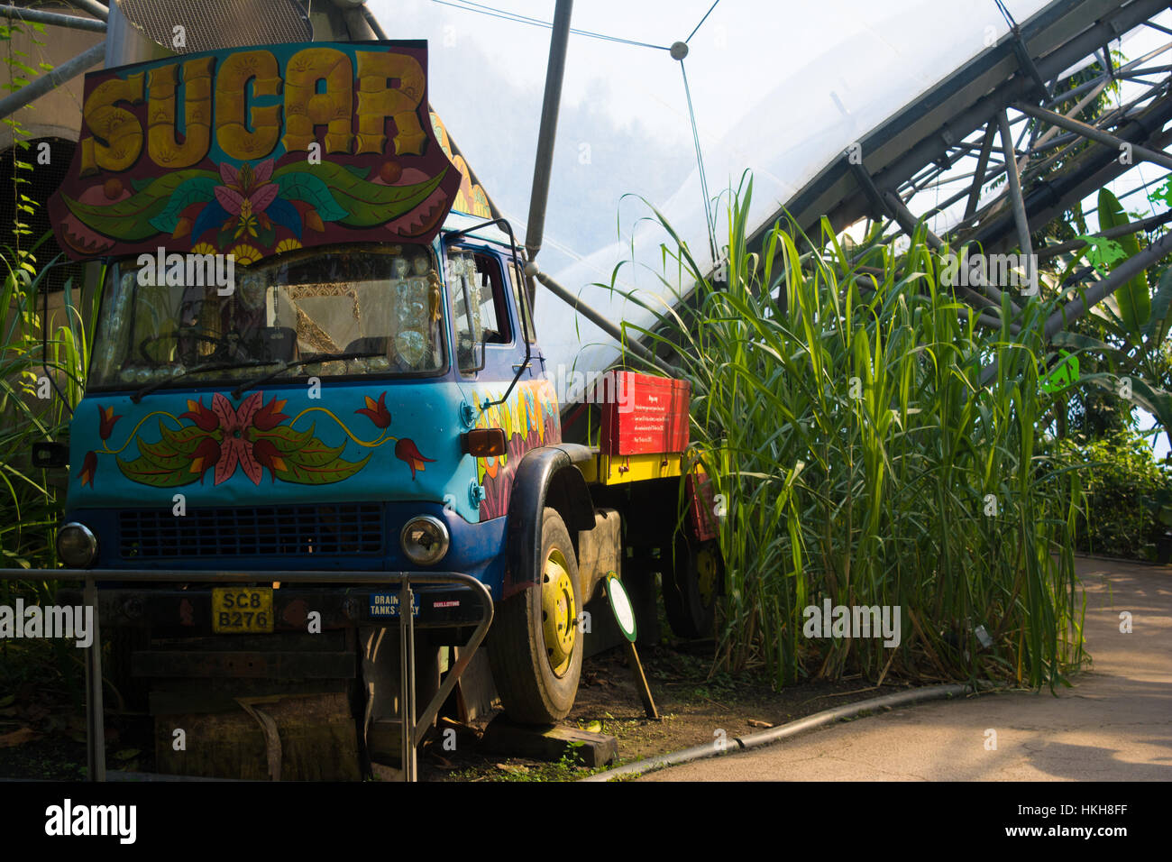 Das Eden Project, Cornwall, UK Stockfoto