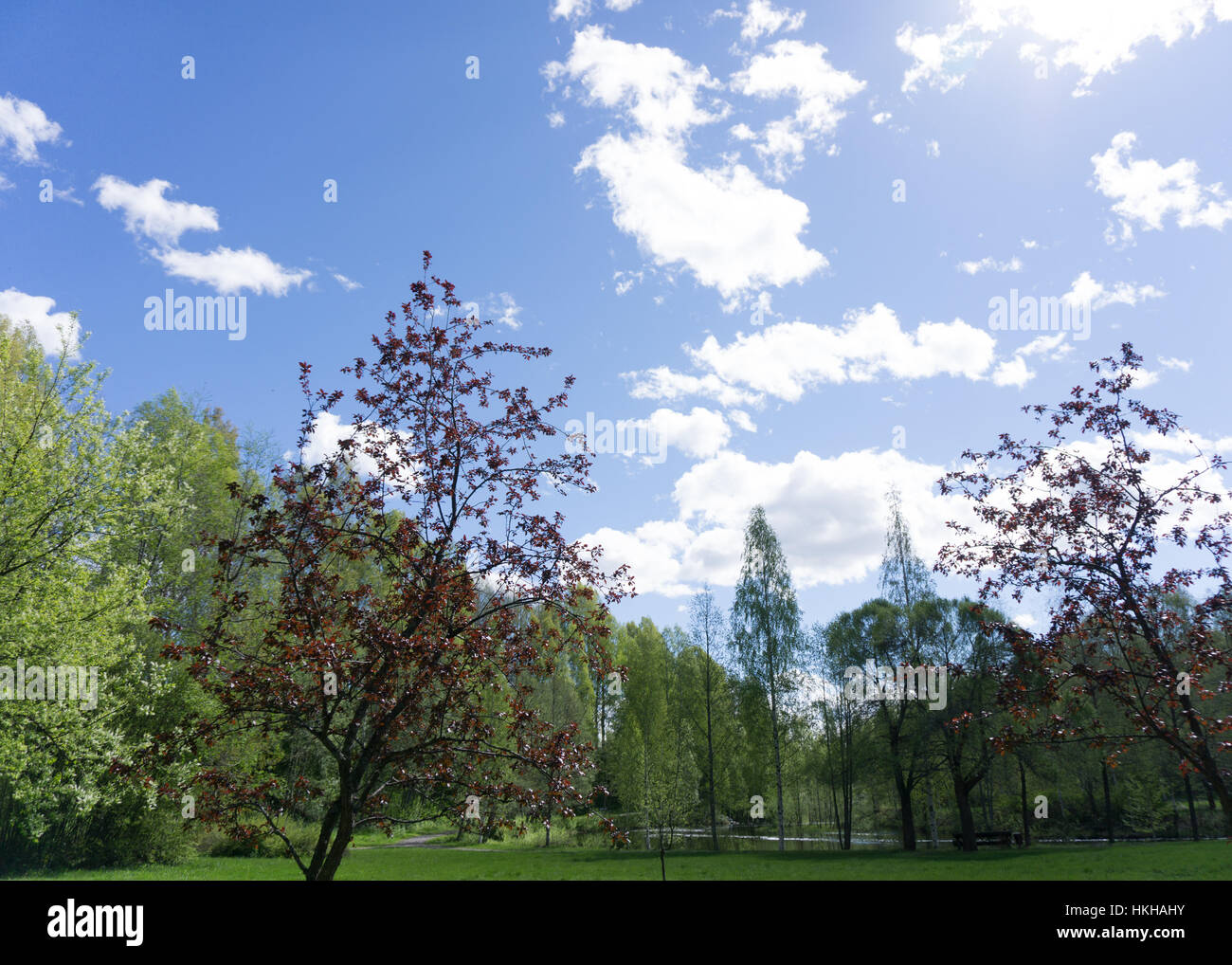 Hatten einen Spaziergang im Park und dieses Bild zu schießen Stockfoto