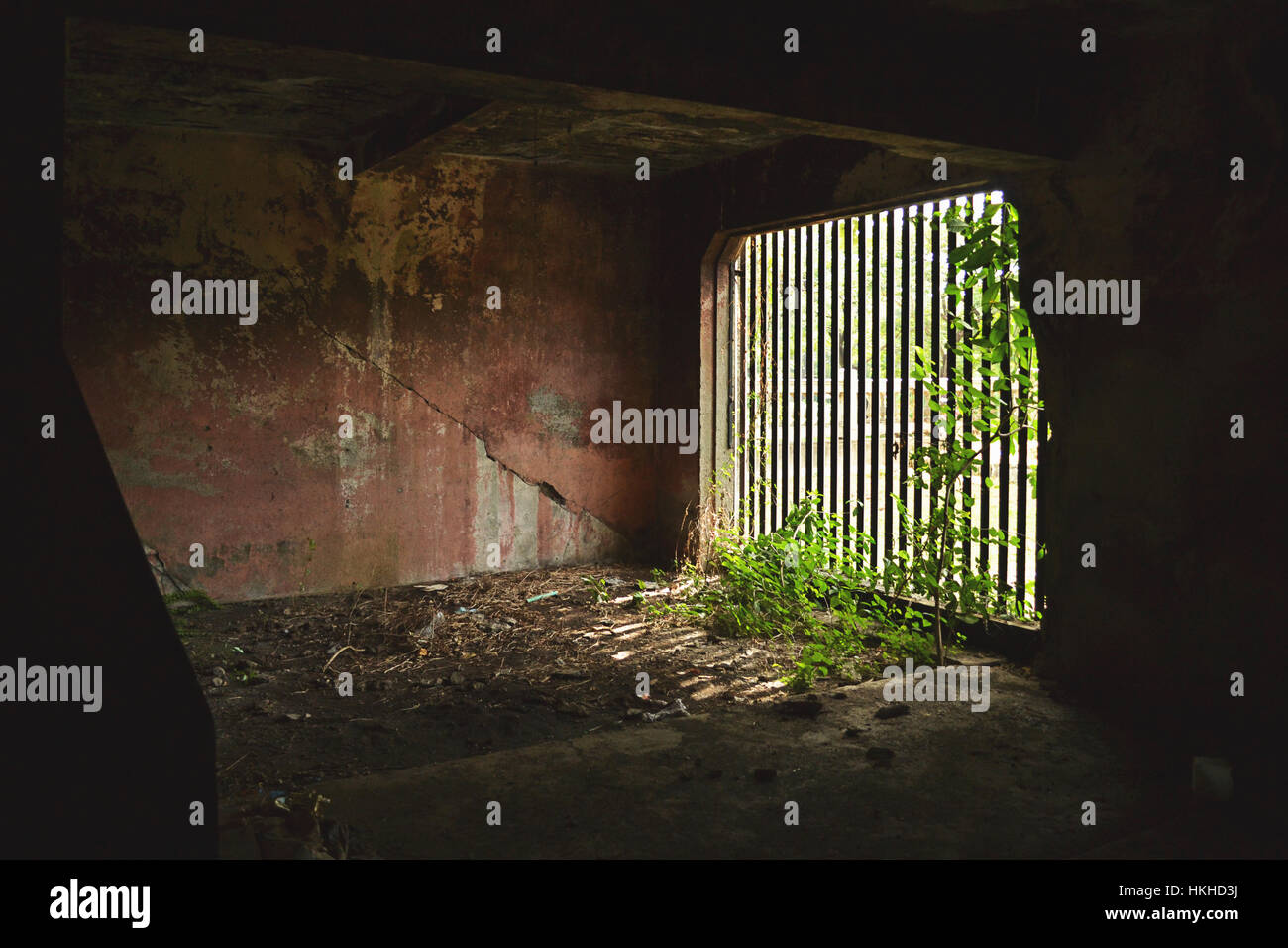 Altes Gefängnis Zimmer mit breiten Fensterfront und lange Metallstangen Stockfoto