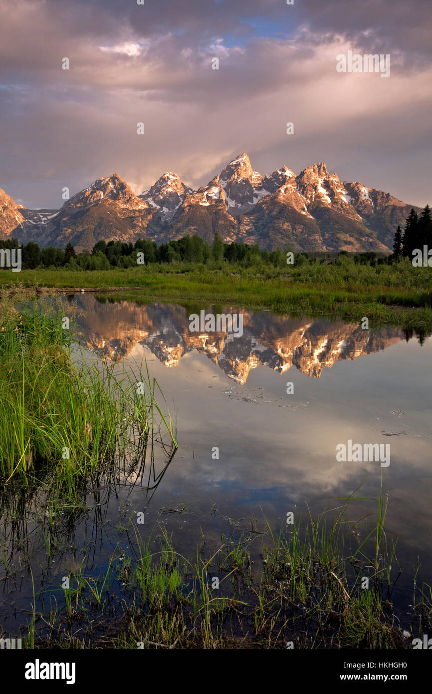 Die Teton reflektieren bei Sonnenaufgang in den stillen Wassern der Biber Teiche am Schwabacher Landung im Grand Teton National Park. Stockfoto