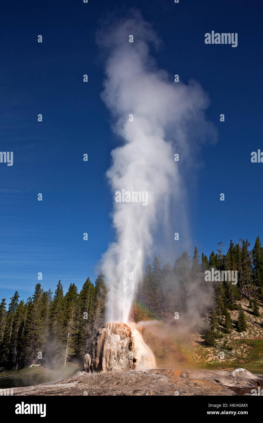 WY02243-00... WYOMING - Lone Star Geysir im Yellowstone National Park. Stockfoto