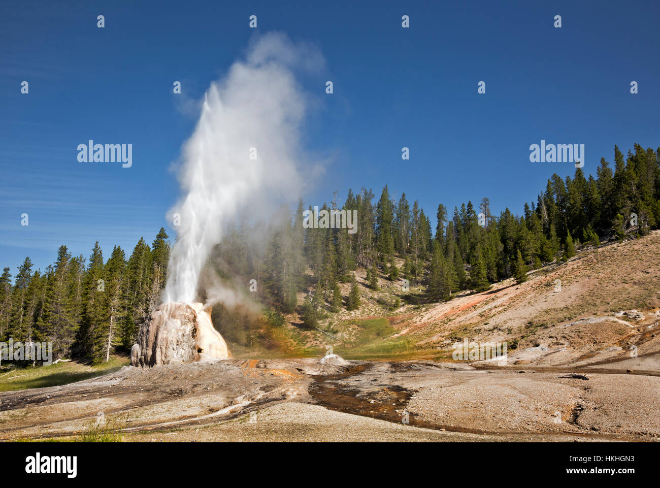 WY02244-00... WYOMING - Lone Star Geysir im Yellowstone National Park. Stockfoto