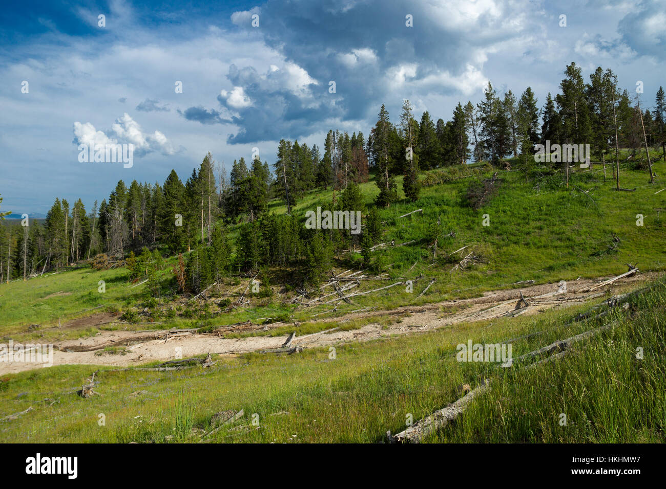 Mud Volcano Area, Yellowstone-Nationalpark, Wyoming, USA Stockfoto
