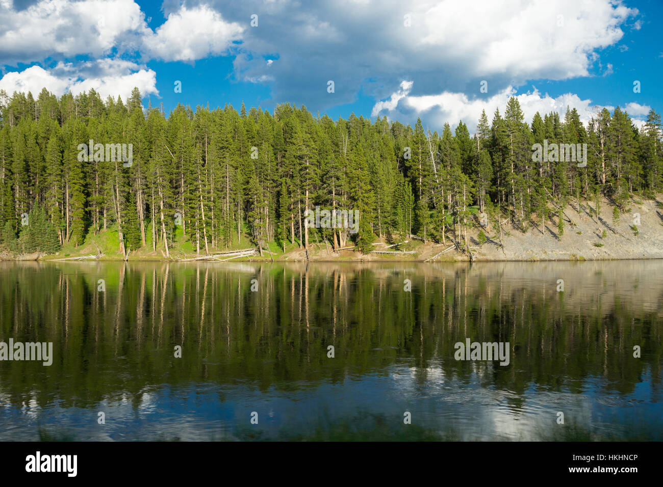 Hayden Valley, Yellowstone-Nationalpark, Wyoming, USA Stockfoto