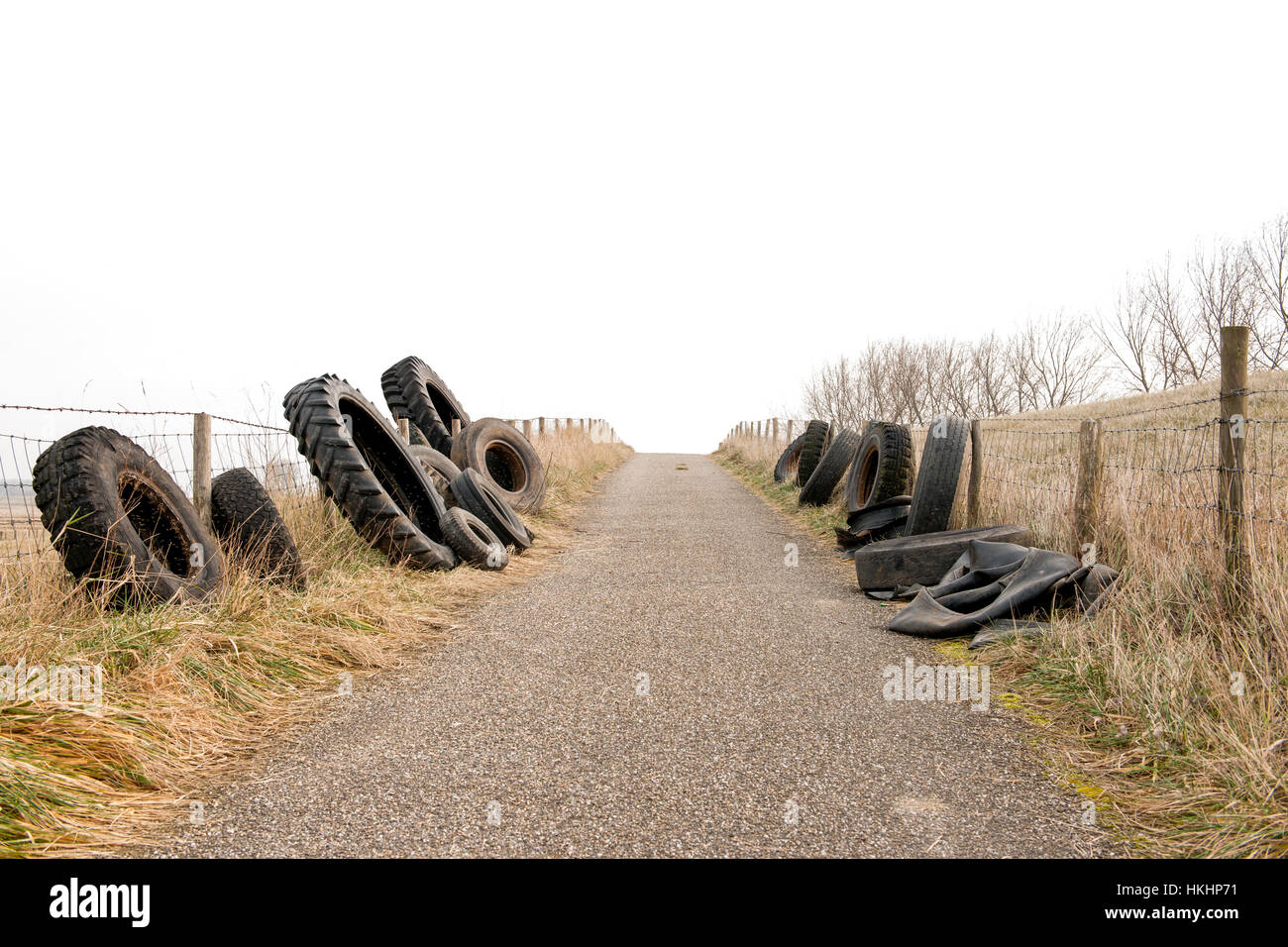 illegal gedumpten LKW und Traktorreifen in einem Naturschutzgebiet in der Provinz Zeeland in den Niederlanden Stockfoto