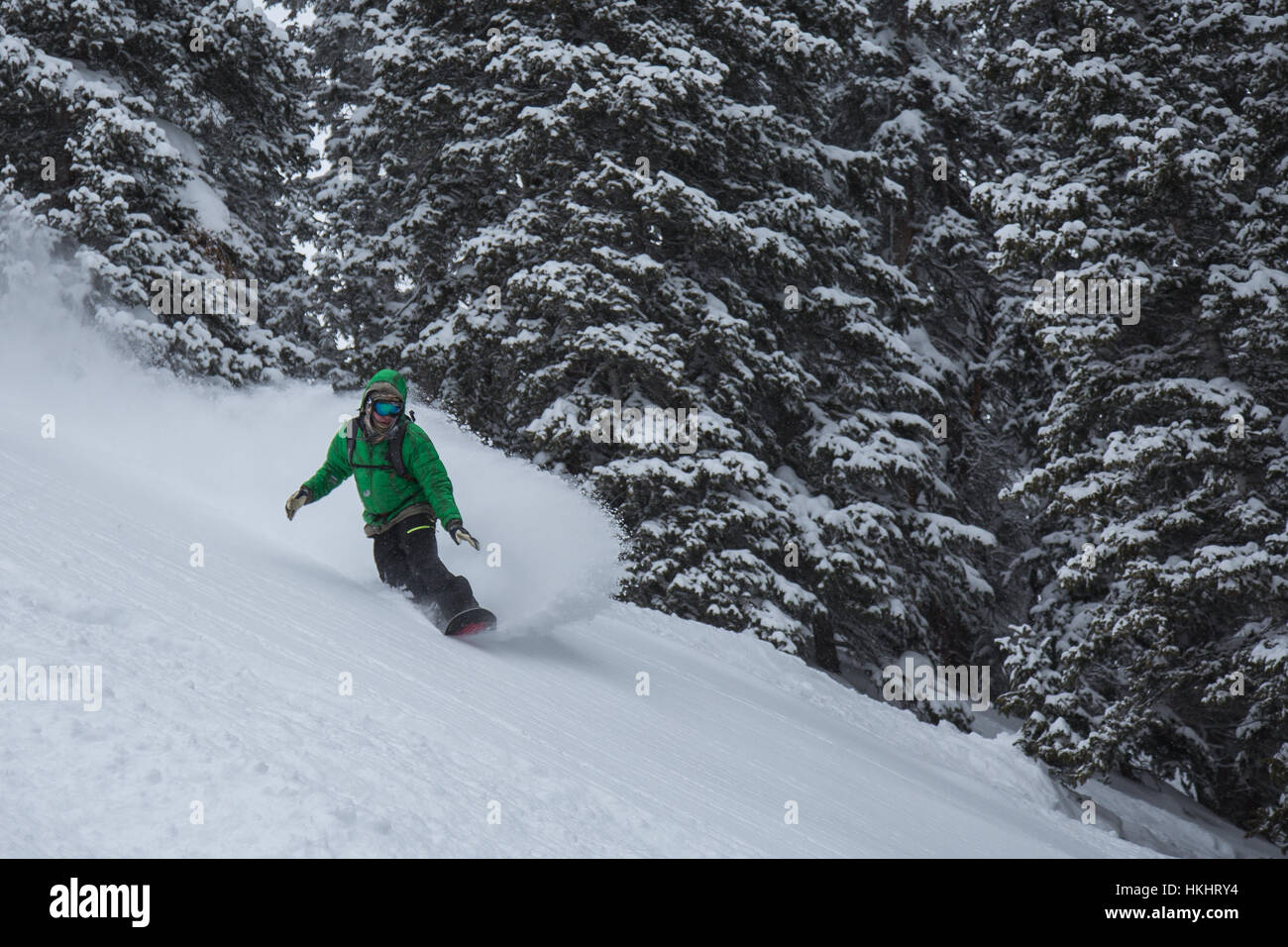 Snowboard Tiefschnee in Telluride, Colorado Stockfoto