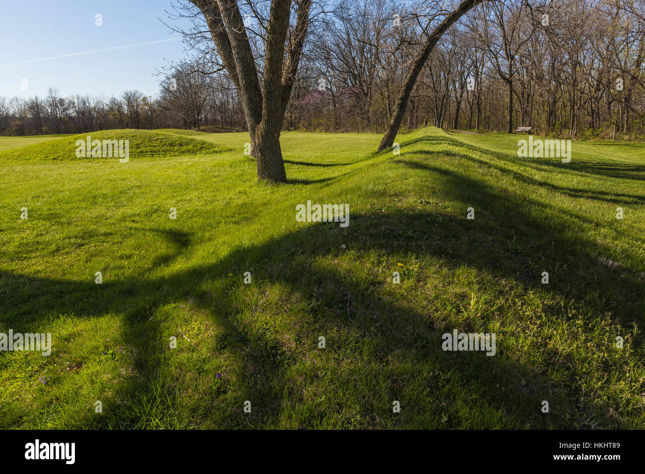 Baum Schatten durchqueren die Landschaft der Hügel-Stadt-Gruppe, wo eine Zivilisation der frühen amerikanischen Indianer blühte vor etwa 2.000 Jahren nun genügte Stockfoto