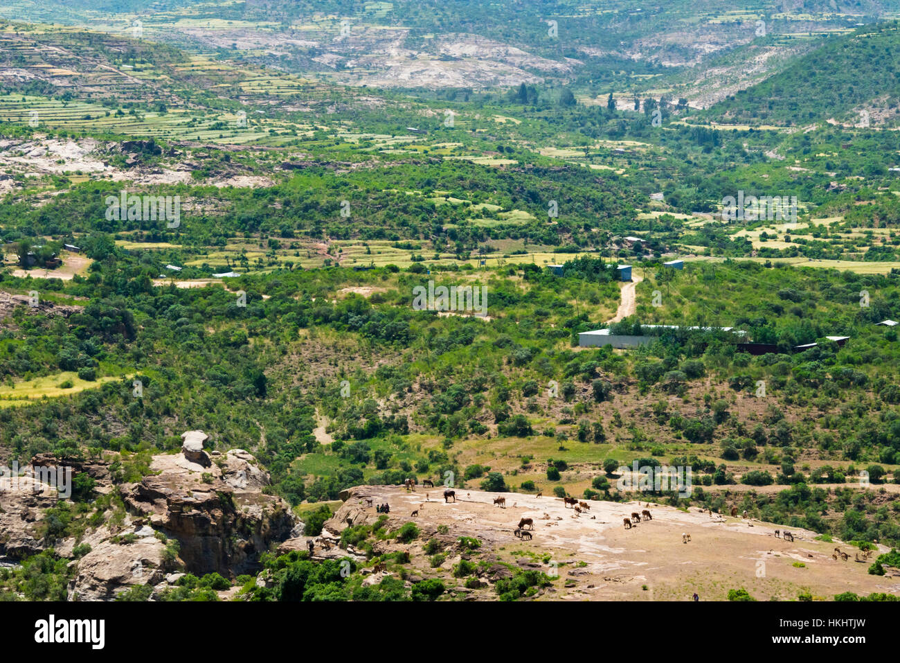 Ackerland in den Bergen, Tigray Region, Äthiopien Stockfoto