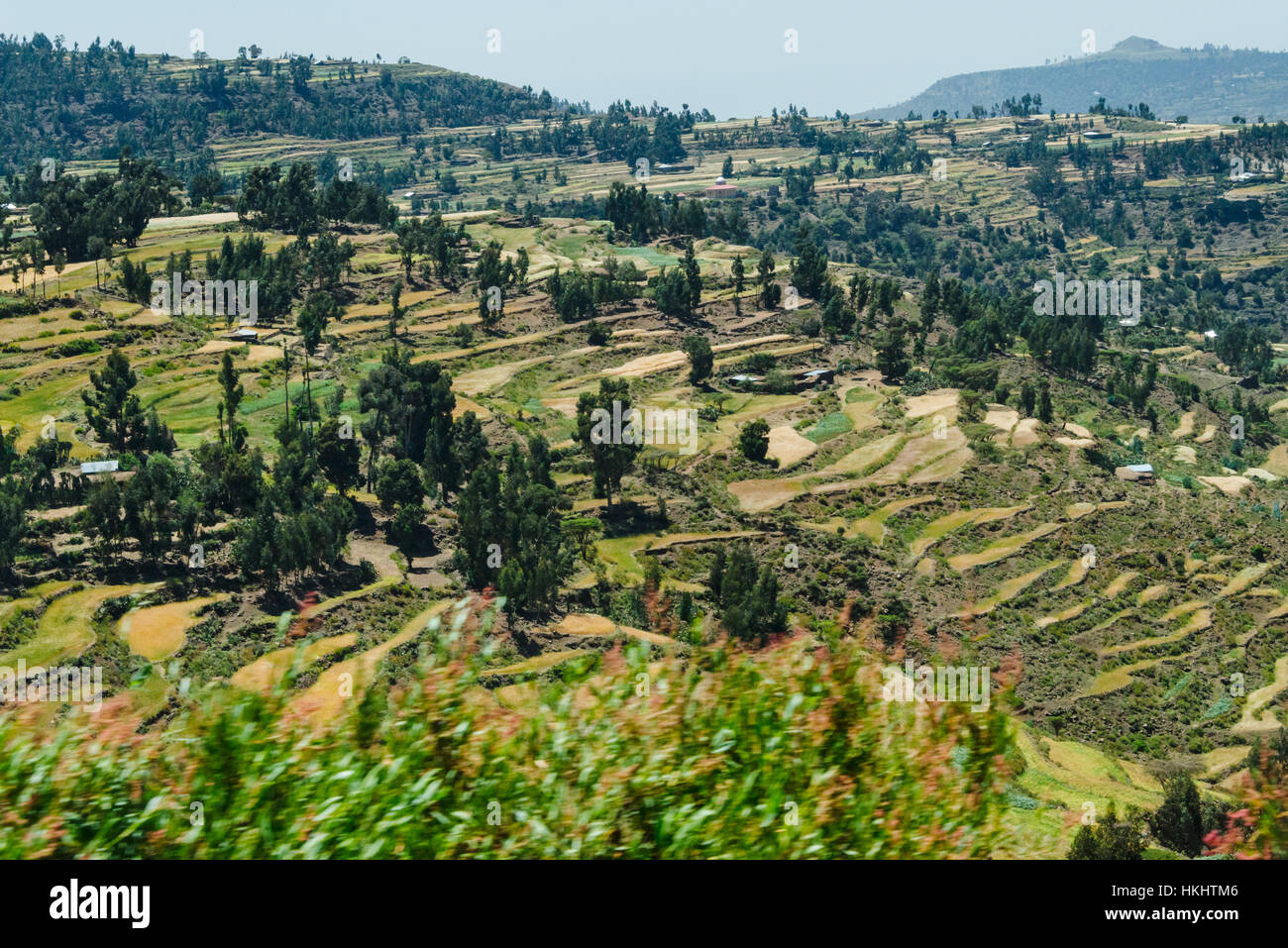 Terrassenförmig angelegten Ackerland in den Bergen, Tigray Region, Äthiopien Stockfoto