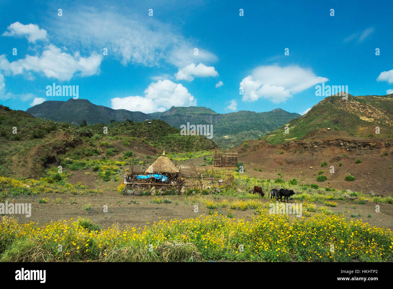 Traditionelles Dorfhaus in den Bergen, Mekele, Äthiopien Stockfoto