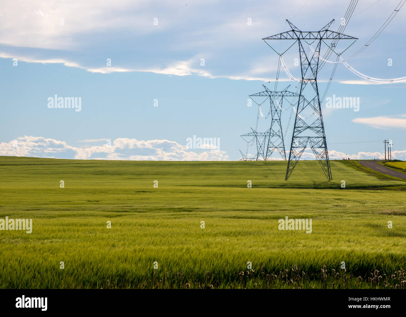 Stromleitungen in einem Bauernhof-Feld Stockfoto