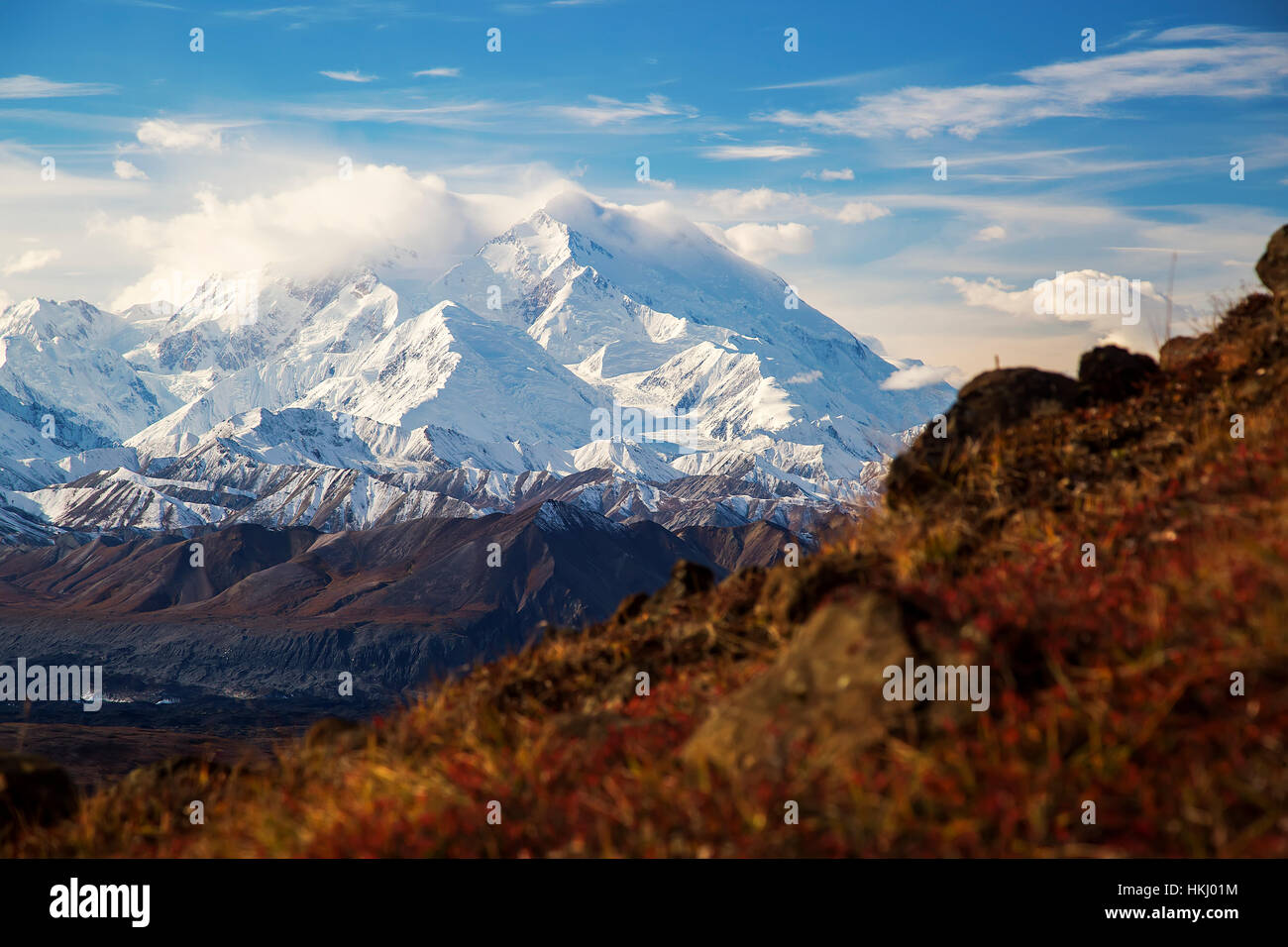 Denali von Thorofare Höhenweg, Denali National Park gesehen; Alaska, Vereinigte Staaten von Amerika Stockfoto