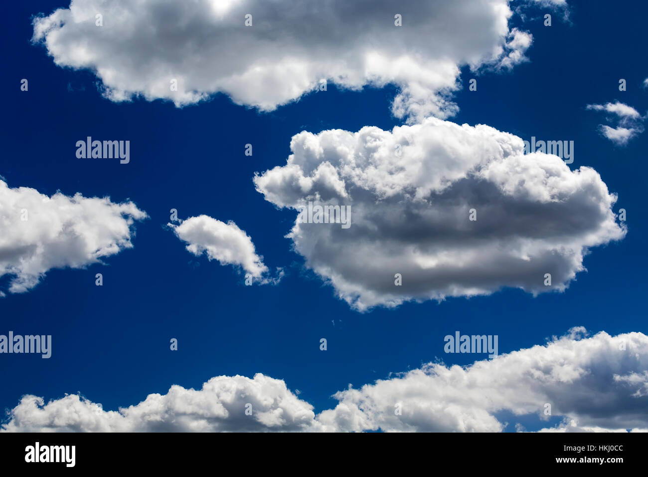 Große weiße flauschige Wolken mit tiefblauen Himmel hervorgehoben; Calgary, Alberta, Kanada Stockfoto